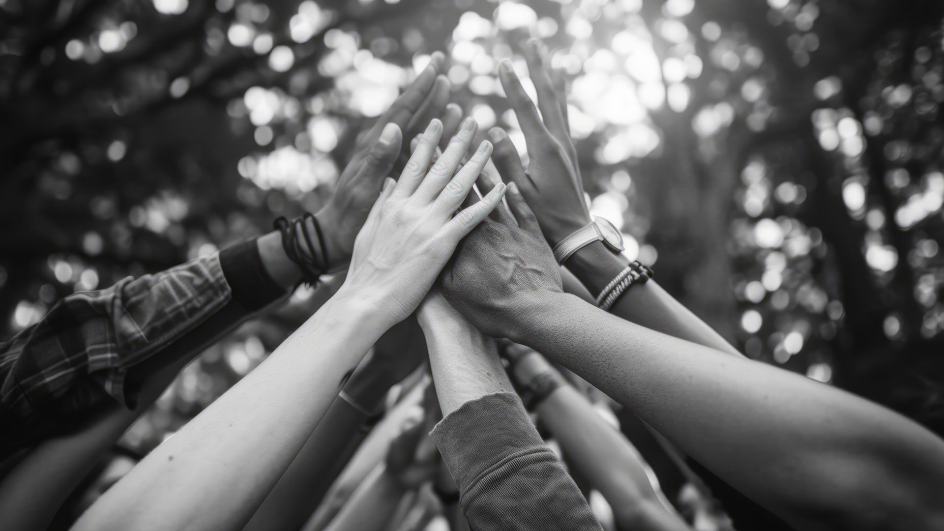 Unlock Your Career Abroad with Global Degree Recognition