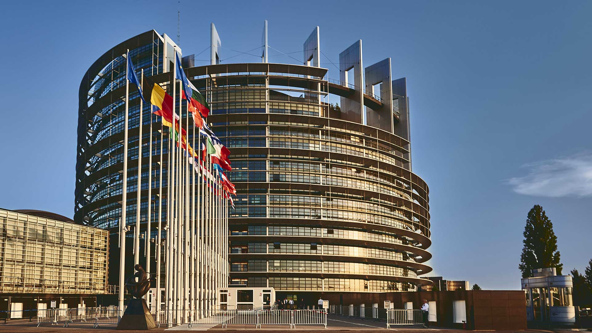 The Premier Contract Management & EOR Partner for Independent IT & Technical Experts